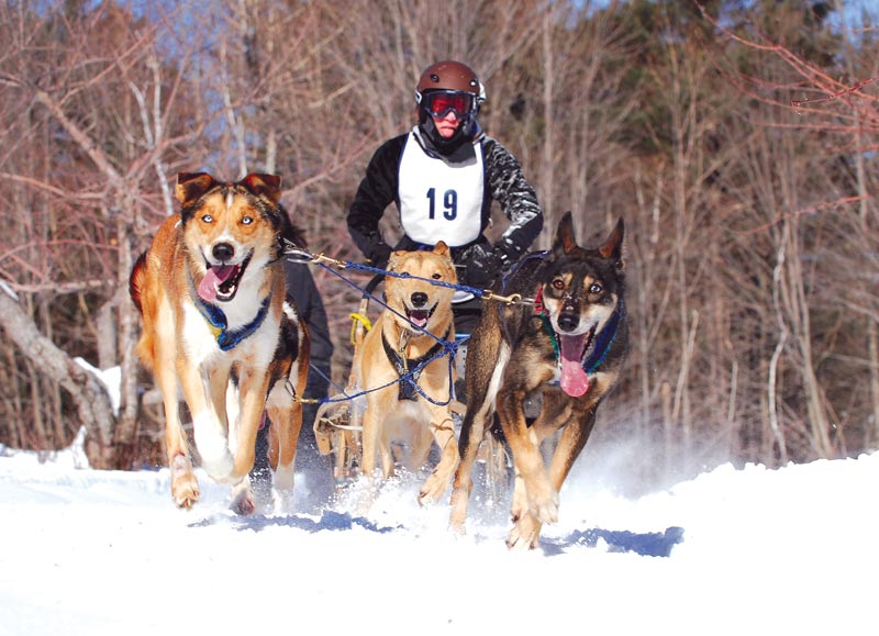 A question of snow, but Winter Carnival is a go The Bridgton News
