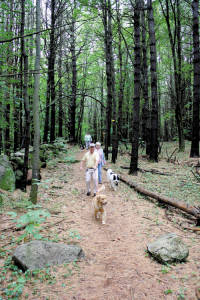 P1-29-dog-trail-opening-day