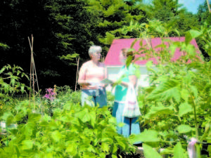  Resident Master Gardener Patrice Griffin discusses moths and blight with Bridgton resident Kari Reed at the Naples Community Garden on Tuesday. (De Busk Photo) 