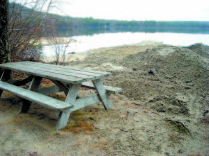 NW dd50 Casco photo CRESCENT LAKE BEACH restoration