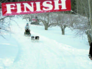 P1 39 mushers bowl-2