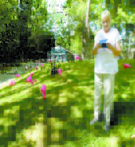 Casco resident Barbara York writes a check to get rid of the plethora of pink flamingos on her lawn. The harmless prank is a fundraiser for the Casco Village Church United Church of Christâ€™s youth group, which is planning a mission to Guatemala in 2015. (De Busk Photo)   