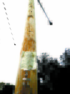THIS STREETLIGHT in Casco Village is slated for removal as early as this week. (De Busk Photo)