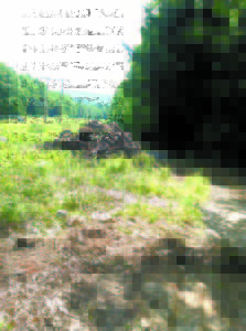 A MOUNTAIN OF TIRES was pulled out of the woods using an excavator. Almost 500 tires had been dumped and were removed from the ATV trail off Leach Hill Road. (Photo courtesy of Don Murphy)