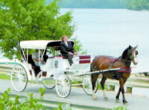 RIDING IN STYLE â€” Tiffany Payton, of Carousel Horse Farm, will be bringing her single-horse carriage to Downtown Bridgton for ride tours as a trial run during Fryeburg Fair week, Sept. 28 to Oct. 5.  