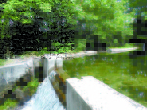 AS WAS DISCOVERED this summer, more water has been escaping through cracks in the Pleasant Lake dam than going over the spillway, according to Town Manager Dave Morton. The boards of selectmen from Otisfield and Casco met on Tuesday to discuss a plan to repair the dam by next summer. (De Busk Photo)