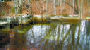 THE SPILLWAY DAM for Parker Pond and Pleasant Lake is failing, with cracks in the concrete, which allows water to move past the structure. Representatives from the towns of Casco and Otisfield are working on a solution, and will most likely ask for funding to hire a hydrologist at this winterâ€™s special town meetings. (De Busk Photo)  