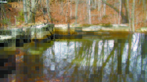 THE SPILLWAY DAM for Parker Pond and Pleasant Lake is failing, with cracks in the concrete, which allows water to move past the structure. Representatives from the towns of Casco and Otisfield are working on a solution, and will most likely ask for funding to hire a hydrologist at this winter’s special town meetings. (De Busk Photo)