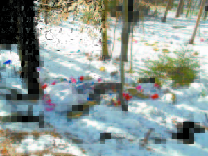 WHAT A MESS â€” This was the dump spot Del and Pam Arey found while taking a walk along Route 35 in Harrison. The couple spent a half-hour cleaning up the trash.  