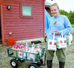 PIETREE ORCHARD EMPLOYEE â€” Hannah Lowe, of Harrison, transports a wagon load of apples plus several bags of apples to the farm stand during Maine Apple Sunday. (De Busk Photo) 