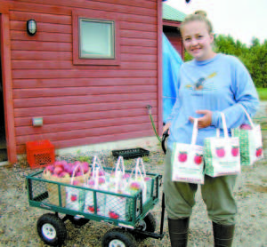 PIETREE ORCHARD EMPLOYEE — Hannah Lowe, of Harrison, transports a wagon load of apples plus several bags of apples to the farm stand during Maine Apple Sunday. (De Busk Photo)