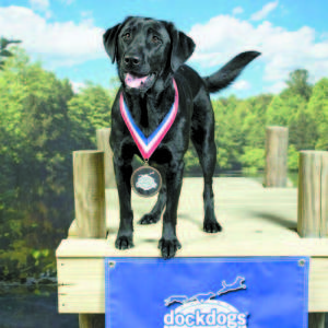 â€œI DID IT!â€ â€” Hattie poses proudly after finishing sixth in the Big Air Category at the Dock Dog World Championships in Dubuque, Iowa. (Photo courtesy PhotosbyFeist)