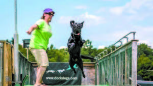 In the Dock Dogs Big Air Division, itâ€™s all about how far a dog can jump. This series of photos shows owner and trainer Kristin Hanscom of Bridgton on the dock, just after giving Hattie the signal to jump into the pool. The black lab leaps up, up, and away in pursuit of her prize: a rigid foam bar, called a bumper, that is suspended aloft and releases automatically from its rope attachment once she catches it in her mouth.   