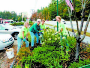 NOT-SO-STRANGE BEDFELLOWS â€” As they have done every gardening season for the past decade, a small group of volunteers takes care of the garden bed in front of The Salvation Army Family Store in Raymond.    (Photo courtesy of Raymond Beautification Committee)     