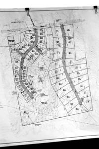 NW woods pond village plan copy