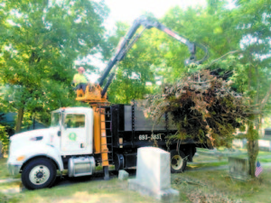 BRUSH PILE REMOVAL is done by Q-Team Tree Service on Friday. Naples resident Buzz Morton created the brush piles, after volunteering his time to cut back tree branches that had become overgrown in the Naples Village Cemetery. (Photo courtesy of Buzz Morton)  